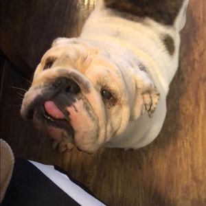 Meet your Posher, Juan